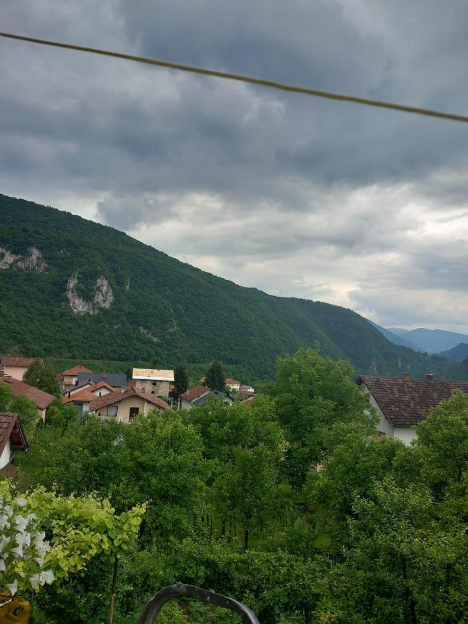 Volijak 18 Яйце Экстерьер фото